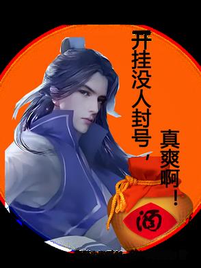 开挂封号是什么意思