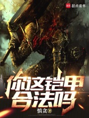 你这铠甲合法吗小说