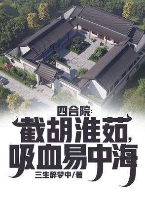 四合院养老易中海后原地起飞