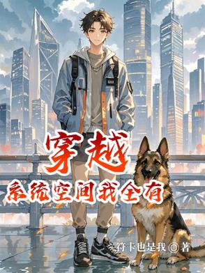 穿越带系统空间小说