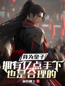 皇子做生意的小说