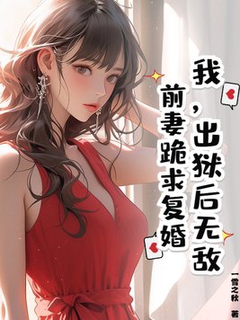 前妻出狱了的小说