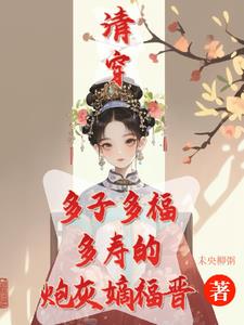 清穿嫡福晋的小说
