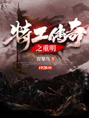 特工谍战剧