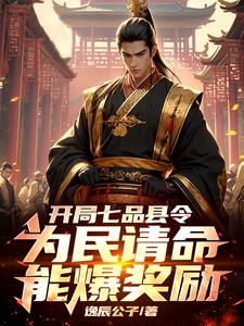 七品县令小说
