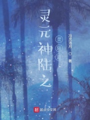灵元是什么