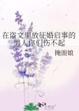 在盗文网站放征婚启事