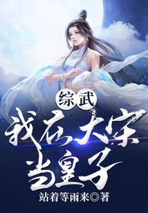 综武:我在大宋当皇子