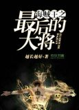 海贼王最后的大将小说