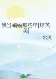 我当蝙蝠侠的那些年 百度网盘