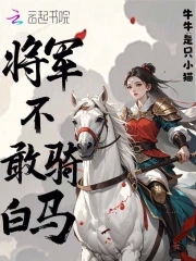 将军不敢骑白马 卜键