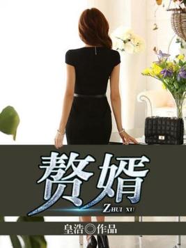 赘婿宁毅小说完整版