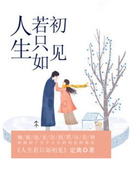 人生若只如初见是什么意思