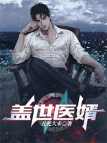 盖世医婿完整版