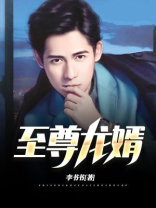 至尊龙婿短剧免费完整版