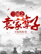 三国之袁家孽子小说