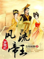 穿越之风流帝王全集免费下载