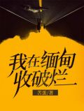 我在缅甸收破烂