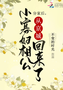 分家后,小寡妇相公从京城回来了免费阅读