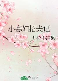 小寡妇招夫记