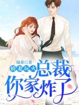 总裁娇妻太抢手