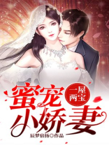 一屋两宝蜜宠小娇妻小说