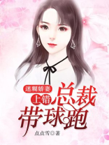 迷糊娇妻:上错总裁带球跑