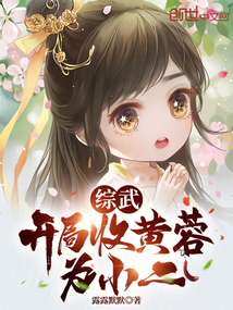 综武开局收黄蓉为小二端木云正版
