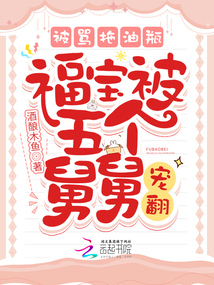 福宝dd的小说